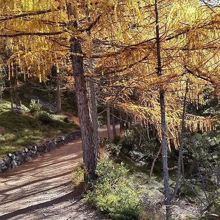 Casa Reit Διαμέρισμα Μπόρμιο