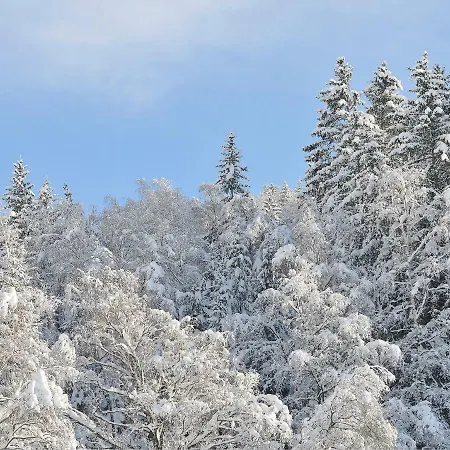 Casa Reit Apartman *